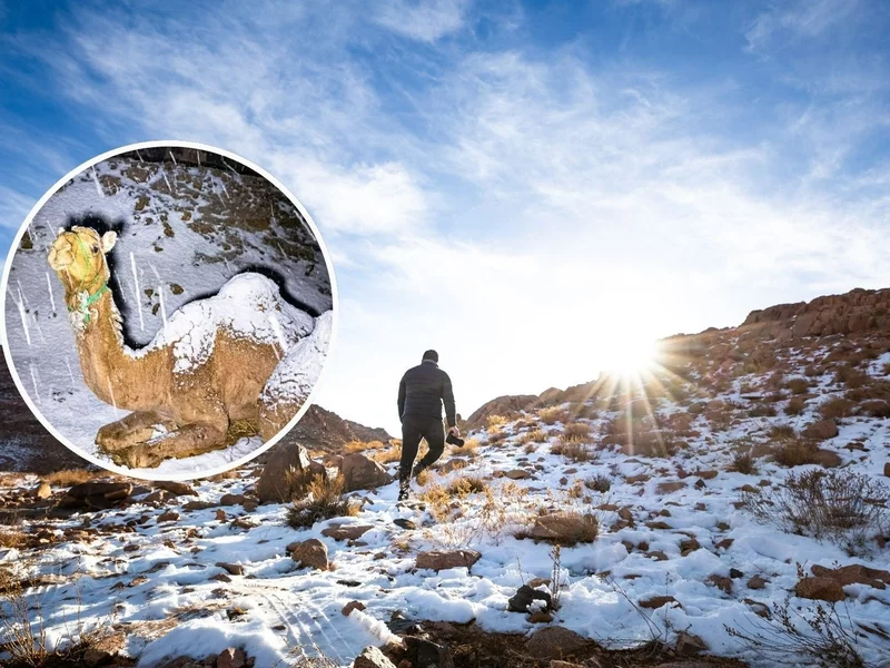 Śnieg spadł w Arabii Saudyjskiej. Takiego widoku nie było od 30 lat