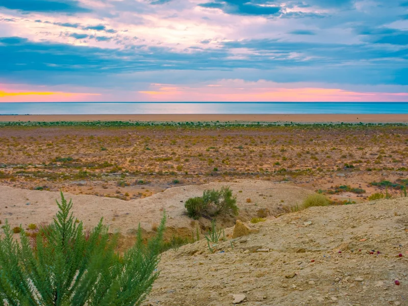 Prawie zniknęło, ale się odradza. To przełom po 20 latach