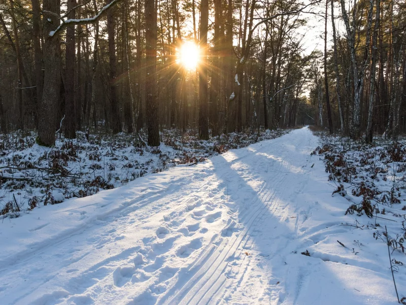 Klimatyczne miejsce 50 minut od centrum Warszawy. Idealne na ferie zimowe