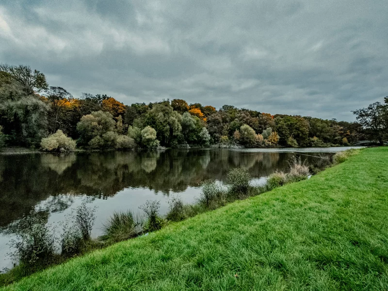 Oto „Szczeciński Central Park”. Teraz chcą zmienić mu nazwę na niemiecką