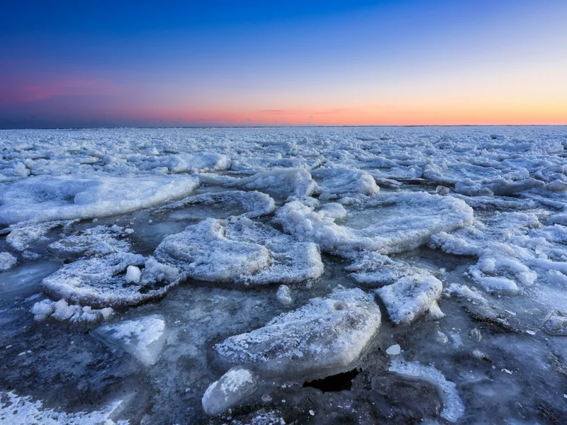 Lodowe drzewo na plaży. Atrakcje nad polskim morzem przyciągają choćby gwiazdy