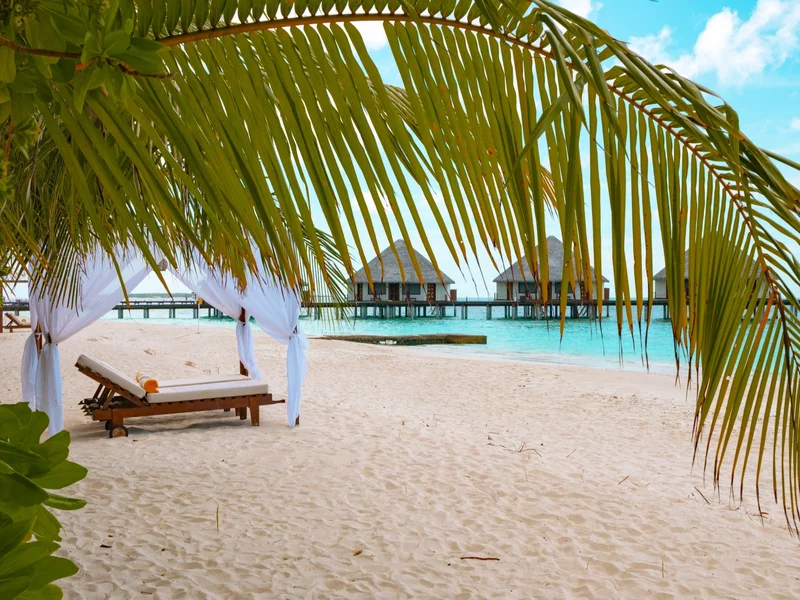 Wojna zamieniła ich podróż poślubną w koszmar. „Mój mąż zachorował, odesłano go do szamana”